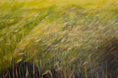 Kornmark_-_Nete_Thomsen